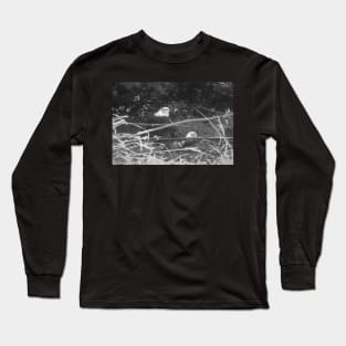 Bald Eagles Long Sleeve T-Shirt